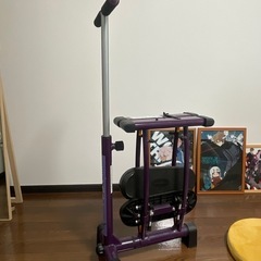 レッグマジック   紫