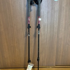 予定者決定／トレッキングポール