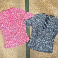 ①レディース　の画像