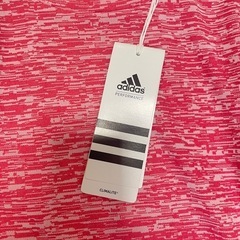 ①レディース　の画像