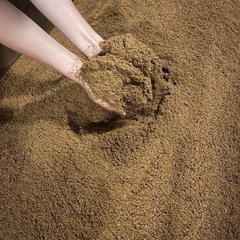 酵素風呂で使用した
米糠とヒノキのおが屑の画像