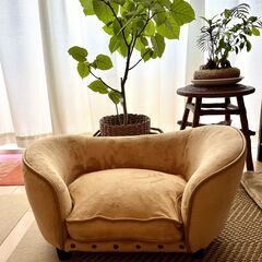 ペット用ベージュソファ　美品　布製