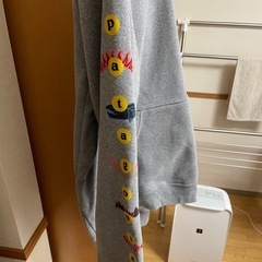 最終値下げ！Patagonia パーカーの画像