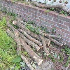 クヌギ　ナラの伐採木　薪にいかがでしょうかの画像