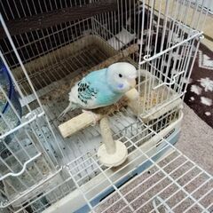 生後２ヶ月