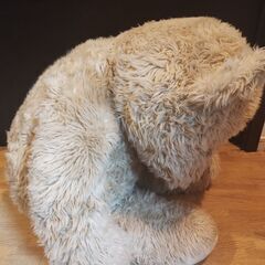 クマ　ぬいぐるみ　熊　大きなクマの画像