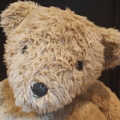 クマ　ぬいぐるみ　熊　大きなクマの画像