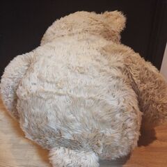 クマ　ぬいぐるみ　熊　大きなクマの画像