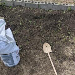 畑・ガーデニング用の土　袋に入れてあります