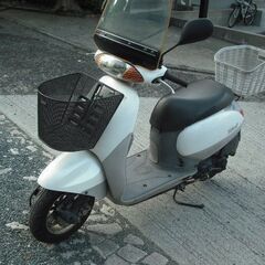 HONDA Tact タクト  (AF51) パールホワイト
