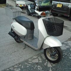 HONDA Tact タクト  (AF51) パールホワイトの画像