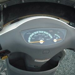 HONDA Tact タクト  (AF51) パールホワイトの画像
