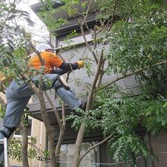 敷地内の雑草除去、植栽伐採の★リフォームの森の植栽伐採★市川支店