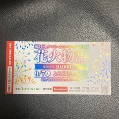 ②グリーンランド　花火　数枚あります　