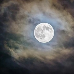 ✨夜の公園ヨガ&ストレッチ開催✨