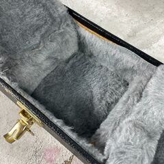 ◆🔶期間限定・特別価格🔶◆ GRETCH ギター ハードケース グレーの画像