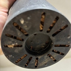 棘無し　
柱サボテン　鬼面角　の画像