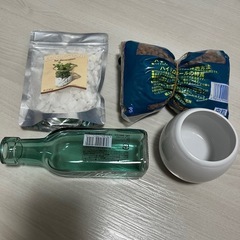 観葉植物　育成セット