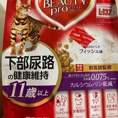 キャットフード