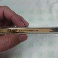 □　COUNT ON DIM DIRECTION SCREAM 　コテコテFat Punkから、1分弱の激速PunkまでこれぞPunk！な激ヤバ4ピースバンド、京都から見参したScream。元No Use For A Nameのクリス率いるJacson Unitedとの共演など様々なイベントに積極的に参加。の画像