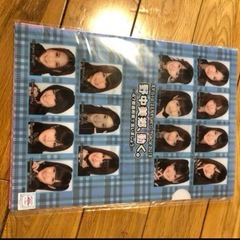 AKB48 ツアーグッズの画像
