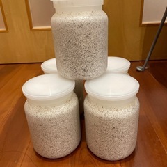 菌糸瓶