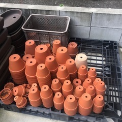 素焼き植木鉢アウトレット