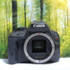 ★初心者におすすめ★ Canon Kiss X2 ダブルレンズキットの画像