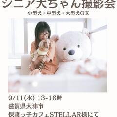 ✨🐶応援お願いします特別価格🐶✨シニア犬ちゃん撮影会