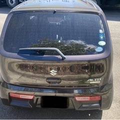 スズキ　アルト人気の茶色！グレードS   の画像