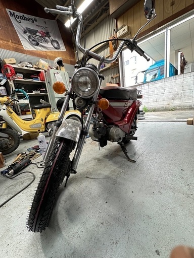 9月セール車体　ジッピィ等