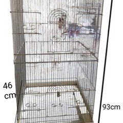 大きな鳥かご