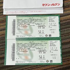 9月17日(火) ライトスタンド ホークス応援席 福岡ソフトバンクホークスvs北海道日本ハム みずほPayPayドーム 2枚連番 送料込 9/17の画像