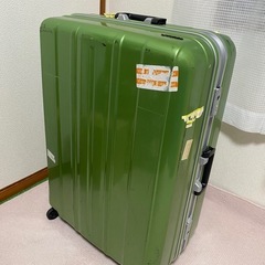 大型キャリーケース