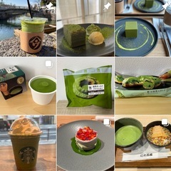 抹茶巡りしませんか🍵