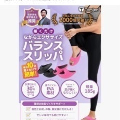 ダイエットスリッパの画像