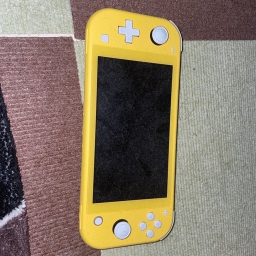 スイッチライト本体