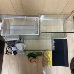 水槽 3個セット tetra GEX レイアウトおまけ付きの画像