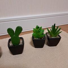 造花・多肉植物のインテリア・6個セットの画像