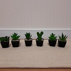 造花・多肉植物のインテリア・6個セット