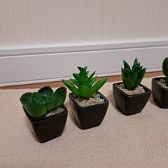 造花・多肉植物のインテリア・6個セットの画像