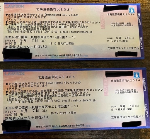 モエレ沼花火大会 チケット2枚 芝生ブロック＋往復バス