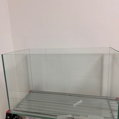 ガラスの水槽の画像