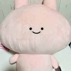 あさみちゃんぬいぐるみ
🐰🩷