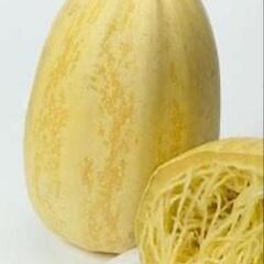 そうめん瓜　金糸瓜