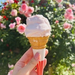 気軽にカフェ巡りとか遊べる方！