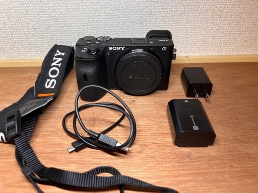 α6600 ボディ