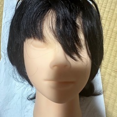 カットウィッグ