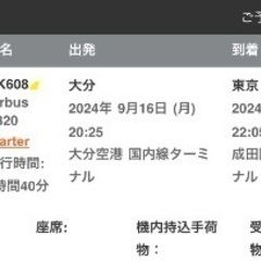 9/16 大分から成田の飛行機