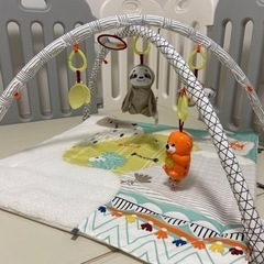 ベビージム(フィッシャープライス)の画像